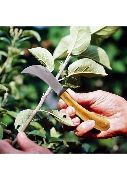 Aşı Bıçağı Profesyonel Çelik Eğri Uçlu Bağ Ağaç Budama Aşı Çakısı 195 mm Saplı Bıçak Çakı