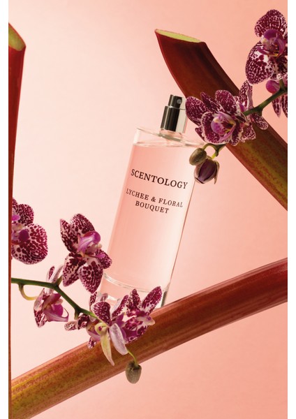 So…? Scentology Lychee & Floral Bouquet EDP Parfüm 100 ml
