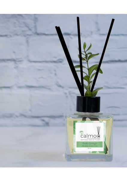 Yagmur Ormanları 110ML Bambu Cubuklu Oda ve Ortam Kokusu