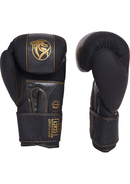 Dragondo 30117-P Legacy Boks Eldiveni Kick Boks Eldiveni fiyatları
