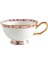 24 Lüks Kemik Çini Kahve Fincan Tabağı Kaşık Ingiliz Porselen Çay Bardağı Boyalı Çiçek Kuş Seramik Cafe Kupa Drinkware Hediye (Yurt Dışından) 1
