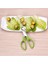 05 Güvercin Bıldırcın Açık Çatlak Küçük Yumurta Kabuğu Makas Kesim Kuş Yumurta Kabuğu Ayırıcı Puro Kesici Açıcı Aracı Clipper Kraker Bıçak Kesme (Yurt Dışından) 3
