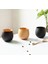Boya Rengi 200-300ML Ahşap Bardak Büyük Göbek Çevre Dostu Hafif Taşınabilir Bira Çay Kahve Süt Su Bardağı Mutfak Bar Drinkware (Yurt Dışından) 2