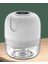250 ml Beyaz 100/250 ml Mini Elektrikli Sarımsak Kırıcı Rende USB Şarj Basın Dicer Gıda Işlemciler Öğütücü Kıyıcı Kıyma Makinesi Elektrikli Gar (Yurt Dışından) 1