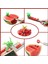 F 6 Adet Karpuz Kesici Paslanmaz Çelik Fırıldak Tasarım Kesim Karpuz Bıçağı Mutfak Alet Salata Meyve Dilimleme Kesici Aracı (Yurt Dışından) 4