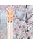 1 Adet Pembe Beyaz Yeniden Kullanılabilir 5 Çift Set El Yapımı Çubuk Bambu Japon Doğal Ahşap Çubuklarını Suşi Gıda Bardak Çiçek Ahşap Çubuklarını Yenı (Yurt Dışından) 1