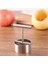 Küçük Molde De Acero Inoxidable Para Arroz Y Manzana, Extractor De Núcleo Grande De Fruta, Removedor De Agujeros, Roca, Azúcar, Pera (Yurt Dışından) 2