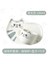 Camgöbeği 200 ml Karikatür Seramik Kedi Kupa Seti Tabaklar Kaşık Kahve Süt Kupalar Sevimli Yaratıcı Kahvaltı Drinkware Doğum Günü Hediyesi Porselen (Yurt Dışından) 2