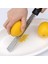 Limon Zester Paslanmaz Çelik Peynir Rende ve Limon Zester Mutfak Aksesuarları Peynir Limon Zencefil Sarımsak Küçük Hindistan Cevizi Sebze Meyve Dilimleme Aracı (Yurt Dışından) 3