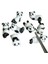 01 Çin Chopstick Panda Chopstick Dinlenme Yaratıcı Sevimli Seramik Chopsticks Mat 8 Çeşit Panda Şekli Mutfak Malzemeleri Sofra (Yurt Dışından) 2