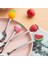 Watermelon7 Paslanmaz Çelik Kaşık Çatal Meyve Çatalı Renkli Meyve Sevimli Desen Tatlı Kaşığı Çocuk Mutfak Aksesuarları Setleri (Yurt Dışından) 4