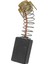 10 Adet 15MM x 10MM x 5.9mm Elektrikli Alet Karbon Motor Fırçası (Yurt Dışından) 2