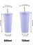 Normal Mavi 750ML 500/750ML Yalıtımlı Paslanmaz Çelik Bardak Kapaklı Bardak Saman Vakum Seyahat Kahve Kupa Sıcak Soğuk Içecekler Için Yeniden Kullanılabilir Su Şişesi (Yurt Dışından) 5