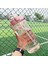 1 Adet Fırça 2.0l 2 Litre Pipetli Su Şişesi Kadın Sürahi Kızlar Taşınabilir Seyahat Şişeleri Spor Bisiklet Fincan Yaz Soğuk Su Sürahisi Zaman Işaretleyici ile (Yurt Dışından) 3