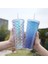 Elmas Bardak 6 710ML 710ML/24OZ Balık Pulu Soğuk Bardak Çift Katmanlı Su Şişeleri Plastik Pipetli Bardak Yeniden Kullanılabilir Kahve Suyu Pipetli Kupa Bardak Noel Hediyeleri (Yurt Dışından) 3