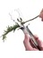 Yaprak Striptizci Yeşiller Striptizci Salata Kıyıcı Mutfak Herb Yaprak Sıyırma Aracı Mutfak Için Soyucular (Yurt Dışından) 1