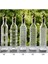 Stil 4 500 ml Şeffaf Cam Zeytinyağı Şişesi Sızdırmaz Mutfak Baharat Soya Sosu Sirke Basın Tipi Cruet Barbekü Şişesi (Yurt Dışından) 4