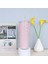 Balık Pulu Bardak 9 710ML 710ML/24OZ Balık Pulu Soğuk Bardak Çift Katmanlı Su Şişeleri Plastik Pipetli Bardak Yeniden Kullanılabilir Kahve Suyu Pipetli Kupa Bardak Noel Hediyeleri (Yurt Dışından) 1