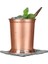 C Julep Kupası 12OZ Klasik Içme Bira Bardağı Sapsız Ev Mutfak Bar Drinkware J2Y (Yurt Dışından) 1