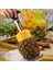 Soyucu Ananas Soyucu Paslanmaz Çelik Meyve Dilimleme Ananas Çukur Temizleme Aracı Ananas Bıçağı Ananas Bıçağı Mutfak Aksesuarları (Yurt Dışından) 2