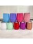 Z 12OZ 12OZ Şarap Tumbler Yumurta Şekli Bira Bardağı 304 Paslanmaz Çelik Kupalar Mühürlü Kapaklı Çift Duvar Kahve Kupa (Yurt Dışından) 2