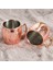 B 60ML Yeni Mini 60ML Moskova Katır Kupa Kahve Şarap Ayı Kupası Dövülmüş Bakır Kaplama Bardak Ev Mutfak Bar Malzemeleri Mutfak Drinkware Kupalar (Yurt Dışından) 2