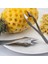 Ananas Pala Çilek Soyucu Meyve Soyucu Ananas Tart Dilimleme Kesici Kolay Paslanmaz Çelik Mutfak Bıçağı Alet Ananas Dilimleme Klipleri (Yurt Dışından) 4