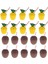 1 Adet Hindistan Cevizi Fincan 1 Adet Moda Ananas Hindistan Cevizi Içme Bardağı Meyve Şekli Suyu Parti Bardakları Hawaii Luau Doğum Günü Yaz Plaj Havuz Partisi Dekor Masası (Yurt Dışından) 2