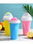 Nane Mavisi Dıy Smoothie Kupası Tutam Bardak Dondurulmuş Sihirli Sıkma Fincan Soğutma Makinesi Fincan Dondurucu Kupa Milkshake Araçları Protable Smoothie Kupa (Yurt Dışından) 2