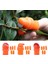 Stil 2-M 2/6 Adet Siliconethumb Kesici Parmak Muhafızları Bahçe Eldiveni Bitki Toplama Aracı Kesilmeye Dayanıklı Parmak Kol Fasulye Seçici (Yurt Dışından) 4