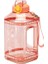 Pembe Şeffaf 1.5l Ycalley Spor Su Şişesi 1.5 Litre Silikon Saman Su Şişesi 2.3 Litre Büyük Şişeler Taşınabilir Seyahat Şişe Spor Fitness Fincan (Yurt Dışından) 1