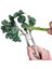 Herb Chopper Yeşiller Striptizci Salata Chopper Mutfak Herb Yaprak Sıyırma Aracı Mutfak Için Soyucular (Yurt Dışından) 1