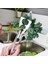 Herb Chopper Yeşiller Striptizci Salata Chopper Mutfak Herb Yaprak Sıyırma Aracı Mutfak Için Soyucular (Yurt Dışından) 4