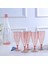 Pembe 5 Adet Taşınabilir Seyahat Şarap Bardağı Seti Yaratıcı Plastik Bira Içecek Meyve Suyu Fincanı Şampanya Bardakları Kokteyl Kadehi ile Saklama Kutusu (Yurt Dışından) 2