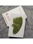 Green-2 Kutulu 100% Doğal Yeşim Taşı Gua Sha Kurulu Masaj Gül Kuvars Guasha Plaka Yeşim Yüz Güzellik Sağlık Masaj Aletleri Yüz Boyun Geri (Yurt Dışından) 1