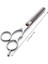 Silver-5.5inch 5.5/6 Inç Saç Inceltme ve Kesme Makası Için Makas Profesyonel Kuaförlük Makas Saç Kesimi Trim Kıllar Kesme Berber (Yurt Dışından) 3