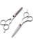 Silver-5.5inch 5.5/6 Inç Saç Inceltme ve Kesme Makası Için Makas Profesyonel Kuaförlük Makas Saç Kesimi Trim Kıllar Kesme Berber (Yurt Dışından) 4