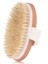 Mavi Kuru Cilt Ahşap Vücut Fırçası Peeling Doğal Kıl Sırt Fırçası Masaj Banyo Duş Geri Spa Scrubber Kuru Masaj Fırça Araçları (Yurt Dışından) 1