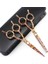 Çanta ile Set Profesyonel Jp 440C 5.5 '' Leopar Seramik Makas Saç Makas Kesme Berber Saç Kesimi Inceltme Makası Kuaförlük Makas (Yurt Dışından) 1