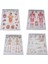8 Hastane Masaj Haritası Insan Anatomisi Kas Sistemi Sanat Posterleri Baskı Vücut Haritası Ipek Boyama Duvar Resimleri Tıp Eğitimi Için (Yurt Dışından) 4