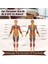 Stil 4 Tcare Ahşap Egzersiz Silindiri Gua Sha El Selülit Blasters Spor Yaralanması Vücut Tetik Noktası Kas Rulo Çubukları Masaj (Yurt Dışından) 3