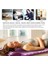 3 Adet-Mor Shiatsu Akupunktur Yoga Mat Sırt Ağrısını Rahatlatmak Kuznetsov'un Aplikatör Ayak Masaj Yastığı Masaj Yastığı Yastık Seti Sivri Uçlu (Yurt Dışından) 5