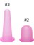 Pembe-2-3 2/3 Adet Silikon Masaj Yüz Vücut Spa Çukurluğu Vantuz Anti Selülit Vakum Çukurluğu Kutular Yüz Kaldırma Sırt Masaj Kavanozları (Yurt Dışından) 1