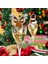 Noel Kupası Kartı Noel Partisi Noel Baba Şapkası Şarap Cam Dekorasyon G (Yurt Dışından) 3
