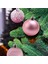 Pcs Noel Topu Süsleri Noel Ağacı Süslemeleri Topları, Pembe (Yurt Dışından) 2