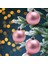 Pcs Noel Topu Süsleri Noel Ağacı Süslemeleri Topları, Pembe (Yurt Dışından) 4