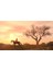 Rockstar Ps4 Red Dead Redemption 3