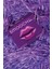 Smooch By So…? Vixen EDP Parfüm 30 ml 1