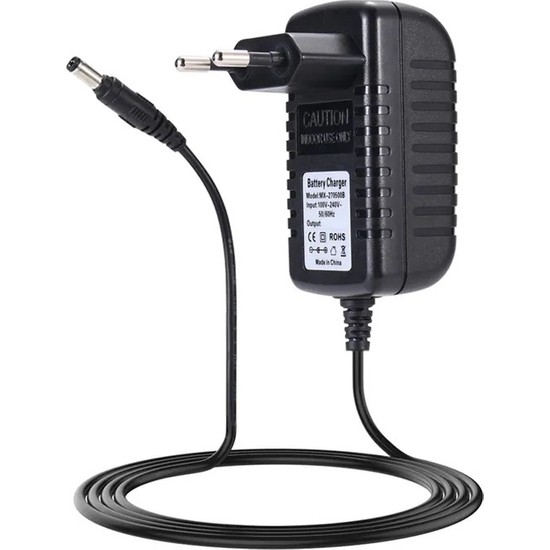 Ata Elektronik Ergorapido SSA-18P-20 Eu 250050 25V - Fiyatı