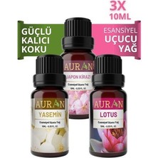 Auran Yasemin, Lotus, Japon Kirazı Saf Esansiyel Uçucu Yağ Buhurdanlık Yağ Difüzör Esans Aromatera 3x10 ml